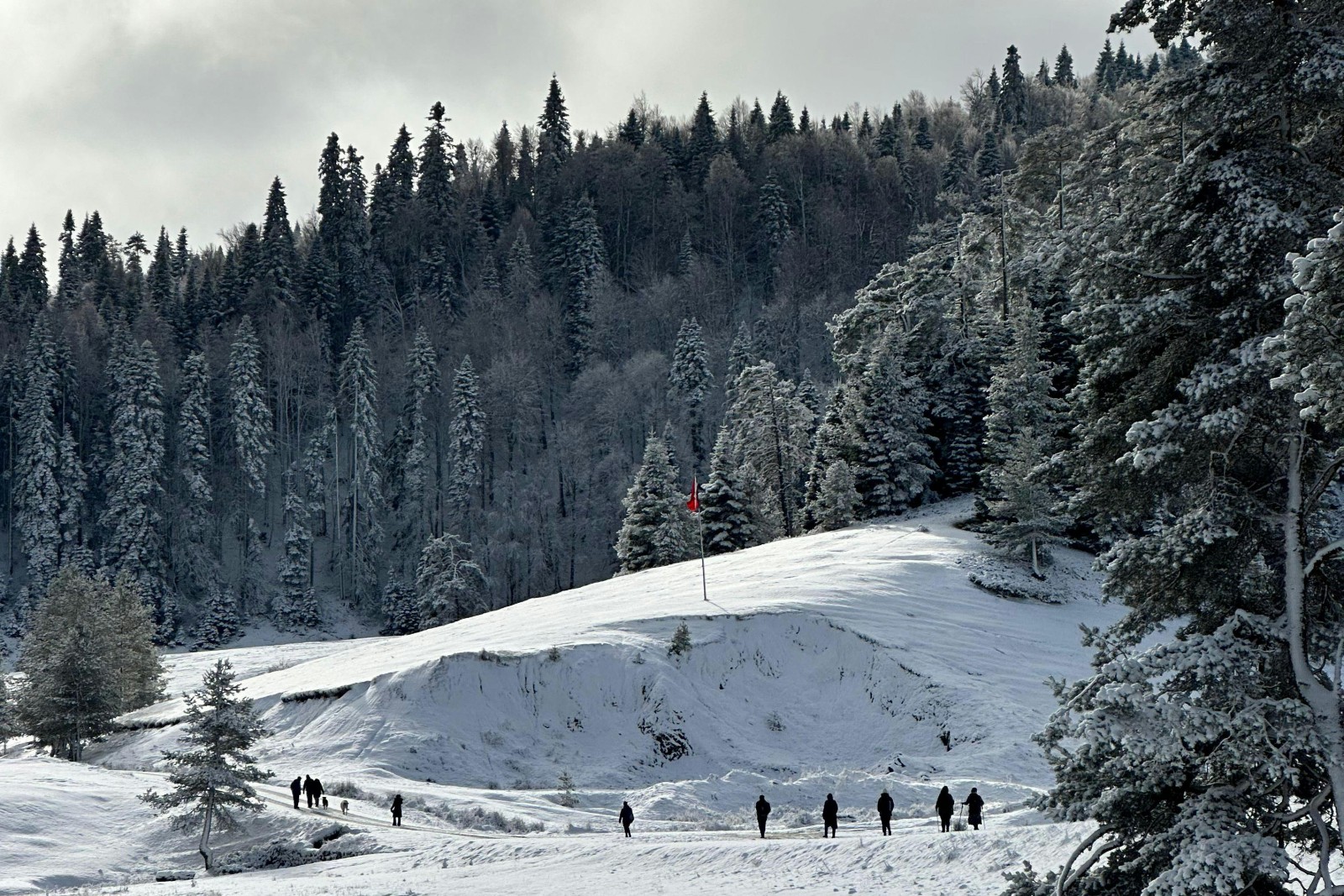 Discover the Magic of the Himalayas: Luxury Bhutan Tour Packages from Arkansas with Orrog